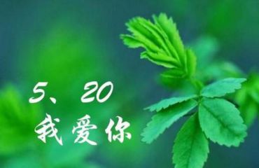 表白情话最暖心短句简单的_520情话英文句子