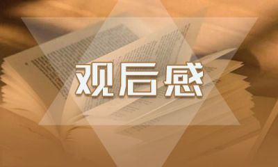 观看决战脱贫在今朝大学生心得感想5篇最新