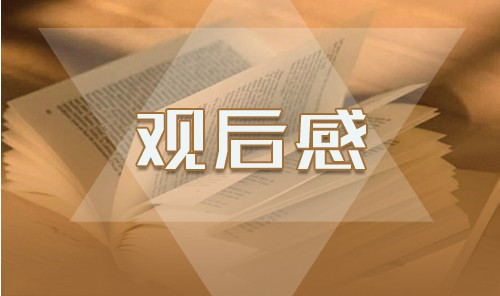 收看战“疫”一线党旗红个人观后感心得500字精选5篇